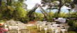 Outdoor wedding venue